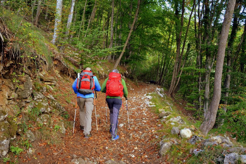 Nordic walking is a whole body workout
